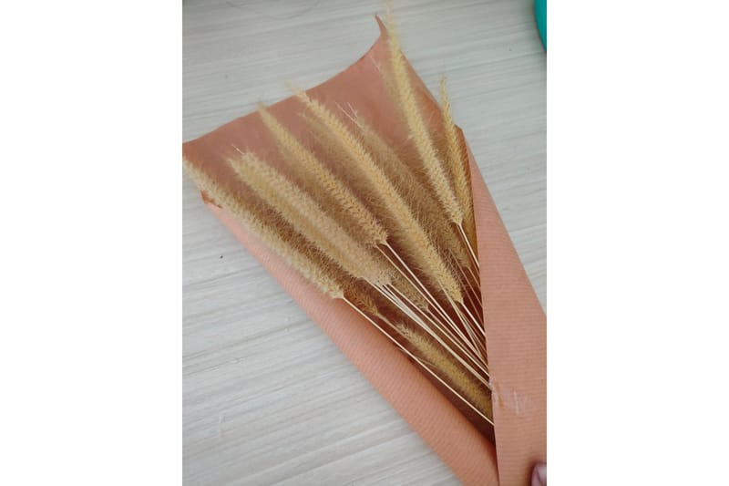 Poster Dry flowers 30x40 cm, Lyserød/Beige