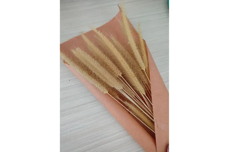 Poster Dry flowers 50x70 cm, Lyserød/Beige