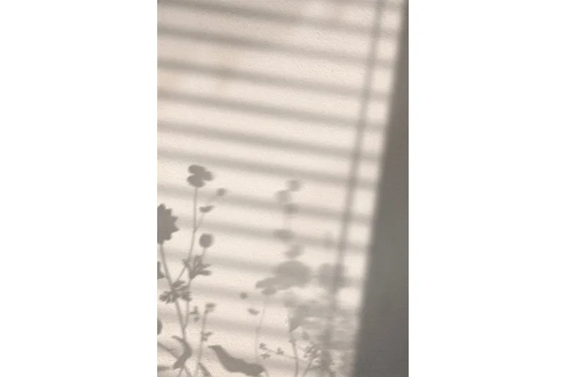 Poster Flower Shadow 30x40 cm, Hvid
