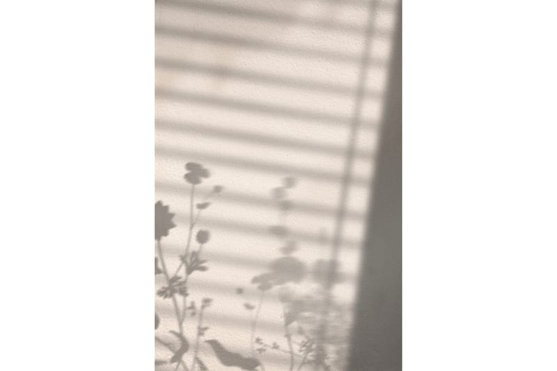 Poster Flower shadow 30x40 cm - Hvit - Posters