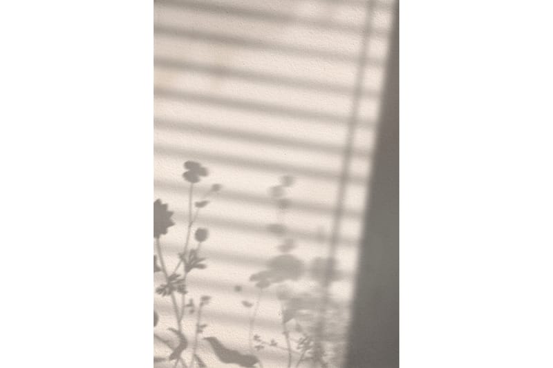 Poster Flower Shadow 50x70 cm, Hvid
