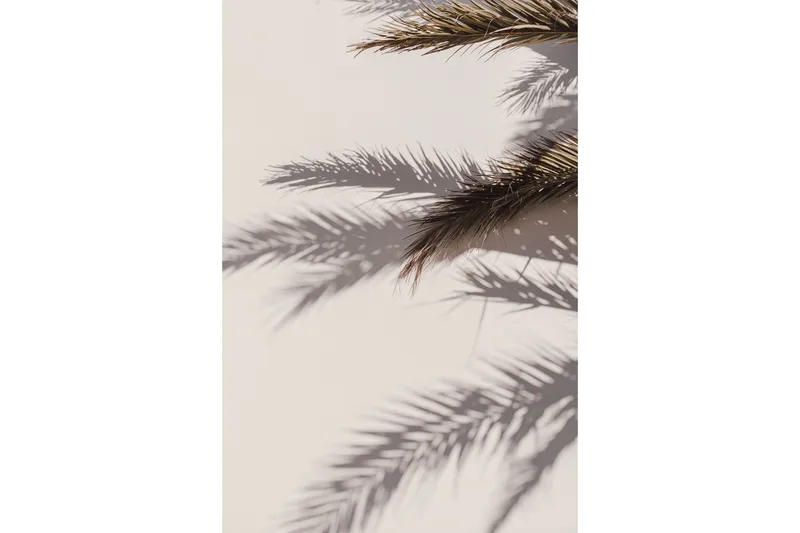 Poster Shadow 21x30 cm, Beige