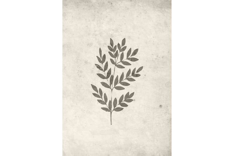Poster Spring leaf 70x100 cm, Beige