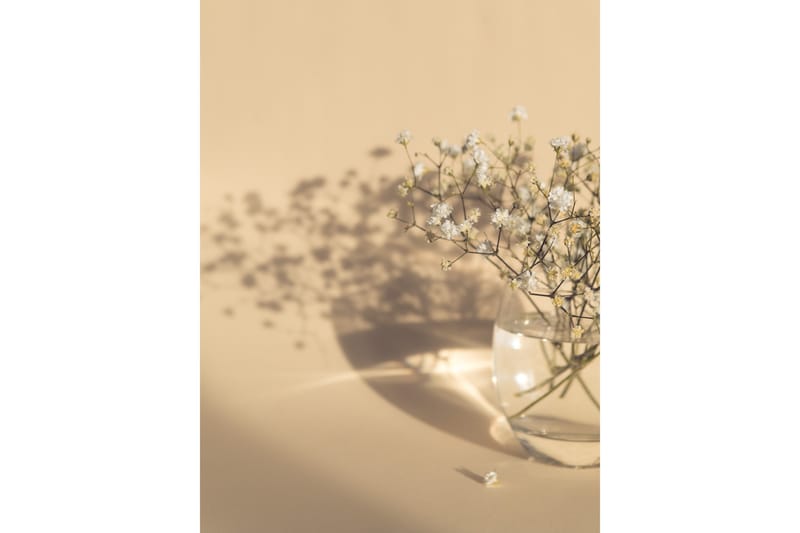 Poster White Flowers 50x70 cm - Beige - Interiør - Maleri & posters - Posters
