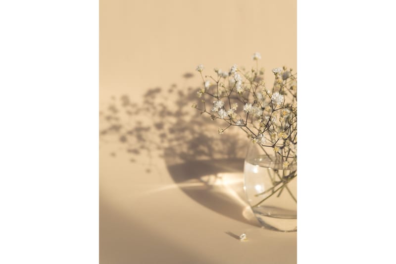 Poster white flowers 70x100 cm - Beige - Posters