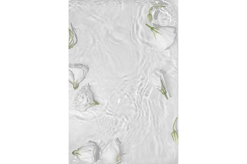 Poster White Roses 30x40 cm - Hvid - Interiør - Maleri & posters - Posters