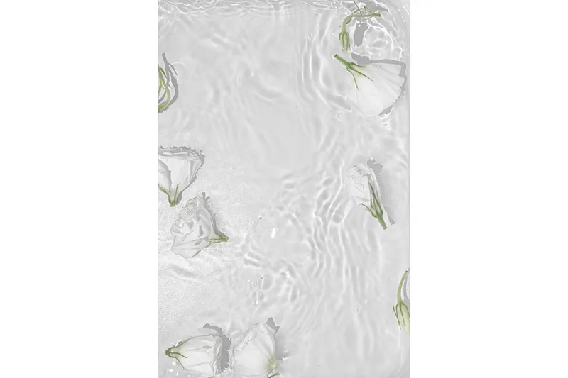 Poster White Roses 30x40 cm - Hvid - Interiør - Maleri & posters - Posters