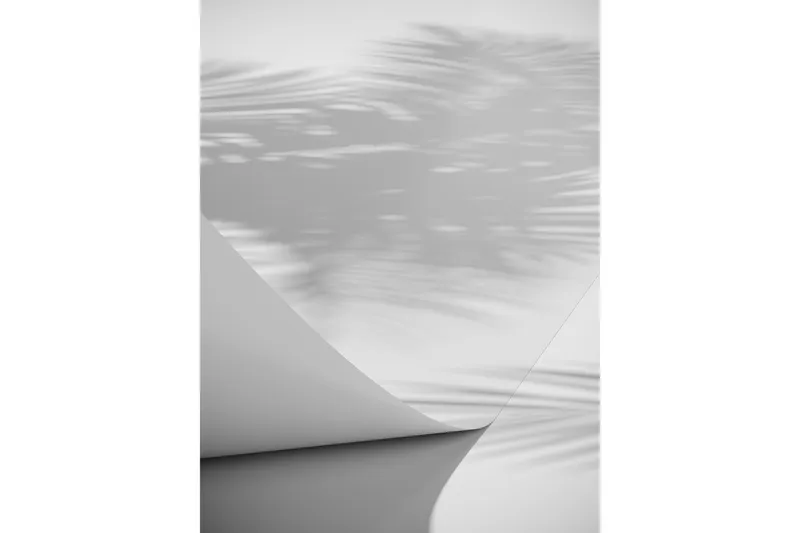 Poster Papyrus 30x40 cm, Hvid