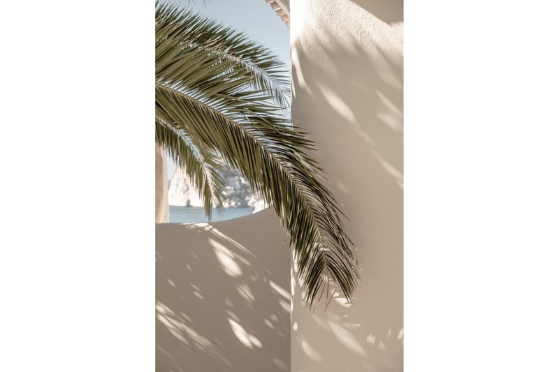 Poster Palmleaf 70x100 cm - Beige - Interiør - Maleri & posters - Posters