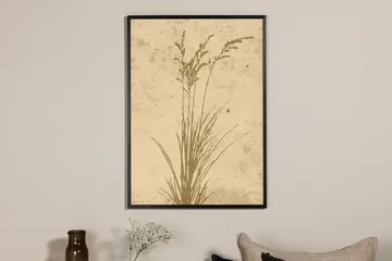 Poster Plant art 50x70 cm - Beige - Interiør - Maleri & posters - Posters