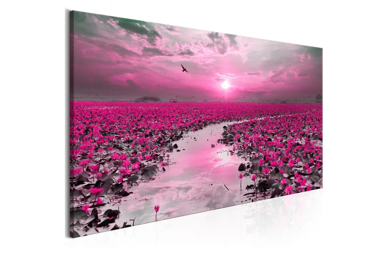 Tavla Lilies and Sunset (1 Part) Narrow 120x40 - Interiør - Maleri & posters - Lerretsbilder