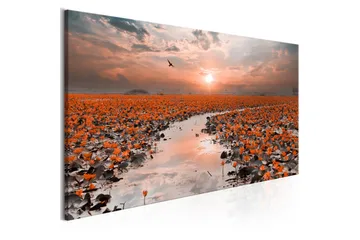 Tavla Lily Pathway (1 Part) Narrow VALUE_MISSING_3 150x50 - Interiør - Maleri & posters - Lerretsbilder