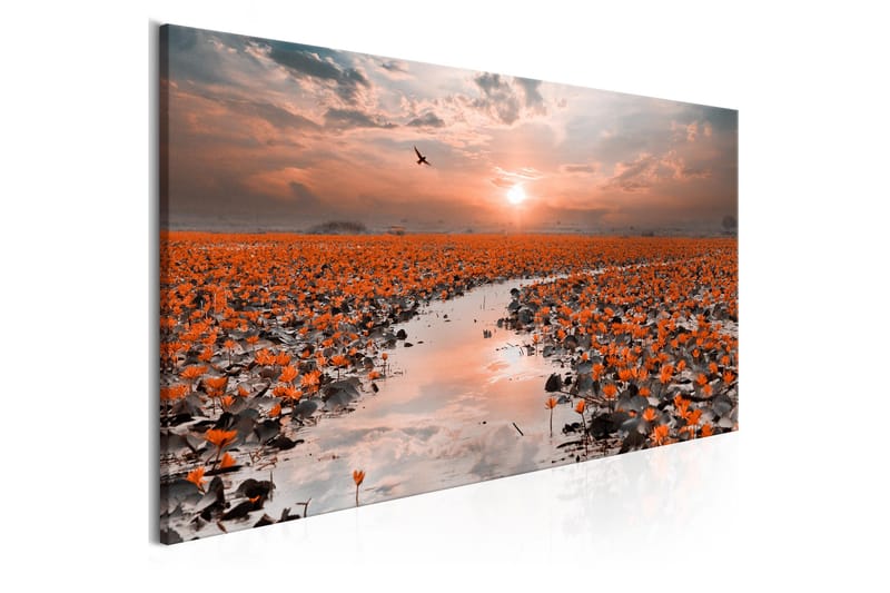 Tavla Lily Pathway (1 Part) Narrow VALUE_MISSING_3 150x50 - Interiør - Maleri & posters - Lerretsbilder