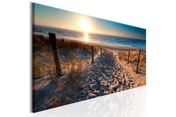 Tavla Sunset Path 150x50 - Interiør - Maleri & posters - Lerretsbilder