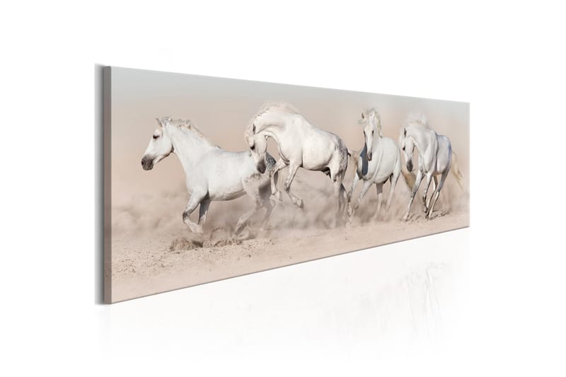 Tavla Wild Beauty VALUE_MISSING_2 120x40