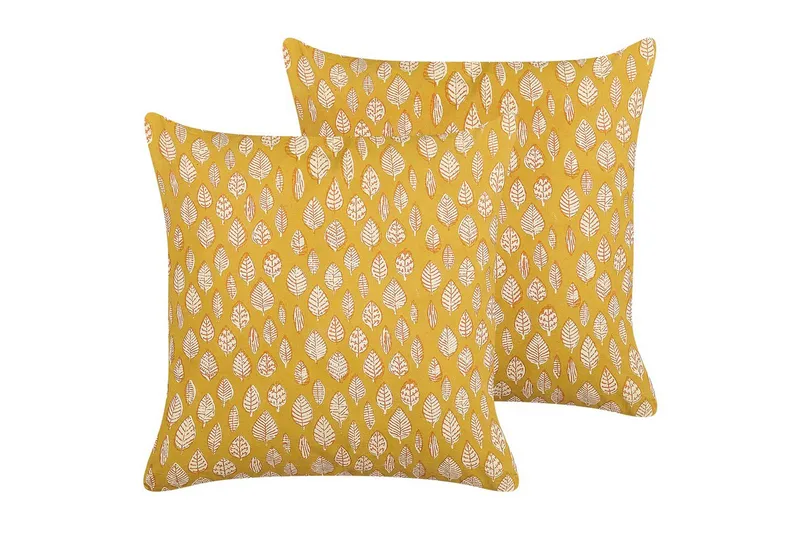 Pynteputer Ginnala sett av 2