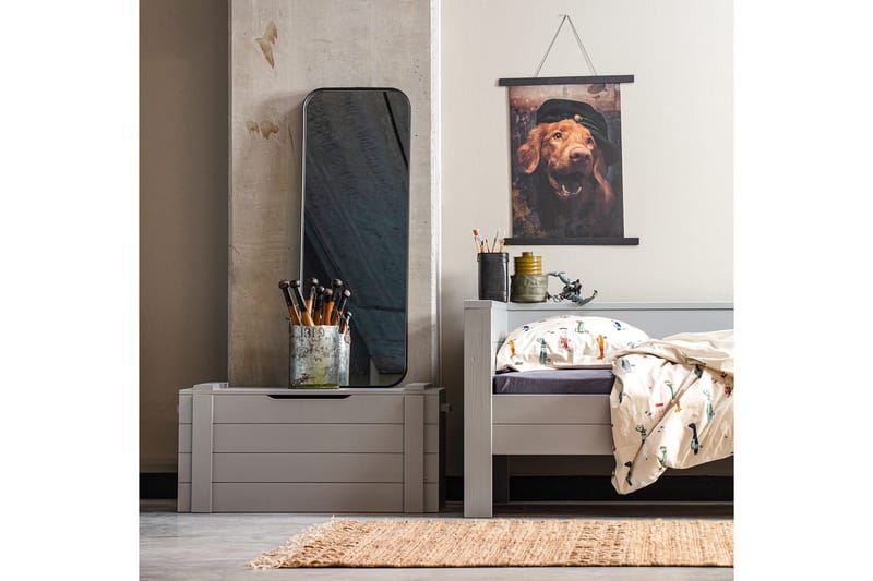 Biella Speil 40x110 cm