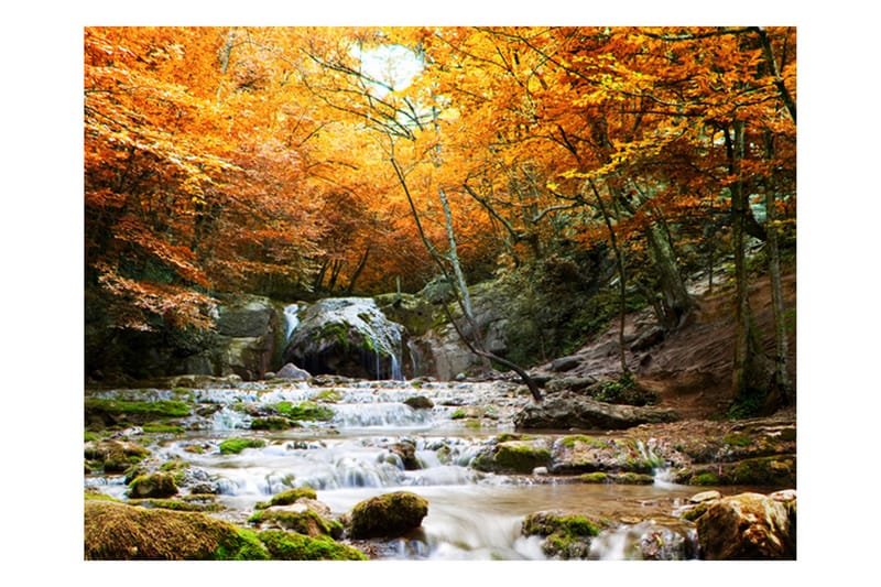 Fototapet Høst Foss 300x231 - Artgeist sp. z o. o. - Tapet stue - Tapet soverom - Kjøkkentapeter - Fototapeter