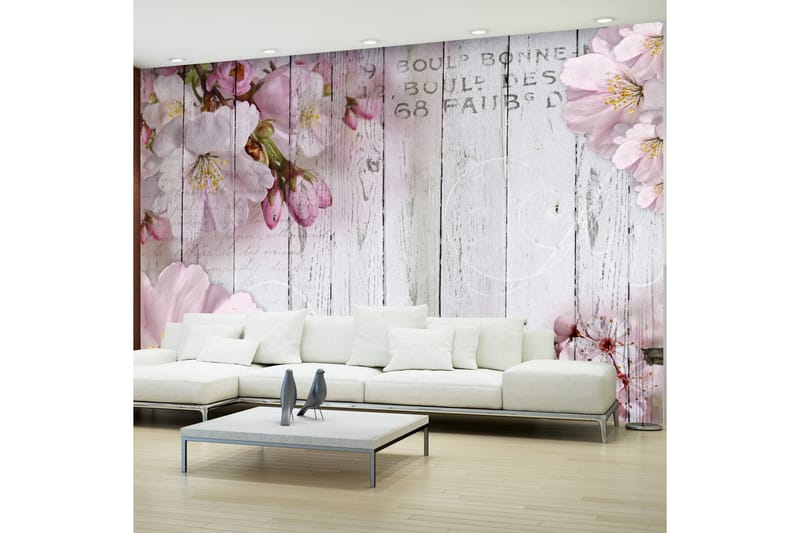 Fototapet Apple Blossoms 250x175 - Artgeist sp. z o. o. - Tapet stue - Fototapeter - Kjøkkentapeter - Tapet soverom