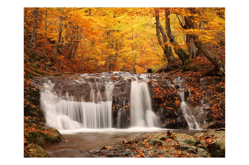 Fototapet Autumn Landscape Waterfall In Forest 200x154 - Artgeist sp. z o. o. - Tapet stue - Fototapeter - Kjøkkentapeter - Tapet soverom