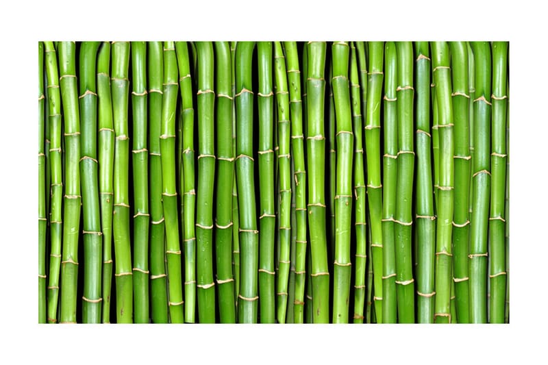 Fototapet Bamboo Wall 450x270 - Artgeist sp. z o. o. - Tapet stue - Fototapeter - Kjøkkentapeter - Tapet soverom
