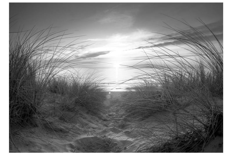 Fototapet Beach Black And White 300x210 - Artgeist sp. z o. o. - Tapet stue - Fototapeter - Kjøkkentapeter - Tapet soverom
