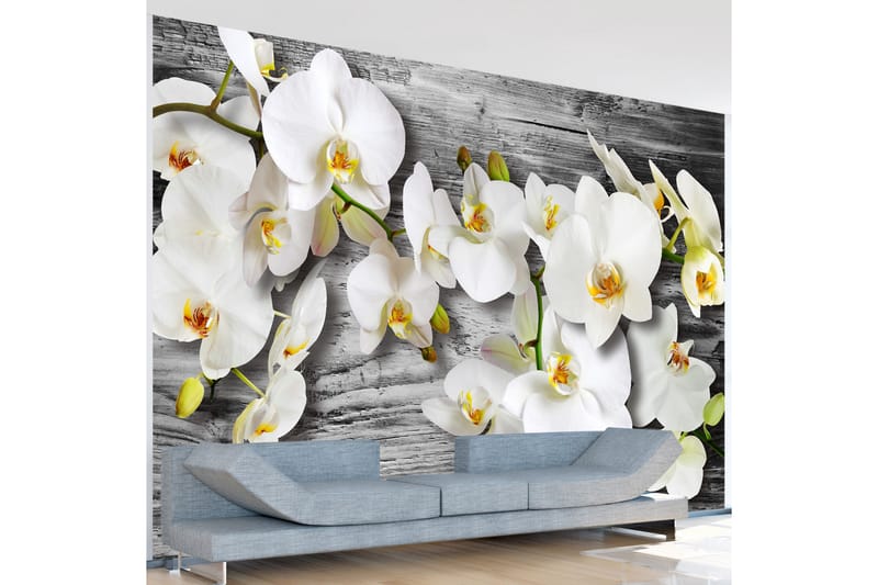 Fototapet Callous Orchids III 300x210 - Artgeist sp. z o. o. - Tapet stue - Fototapeter - Kjøkkentapeter - Tapet soverom