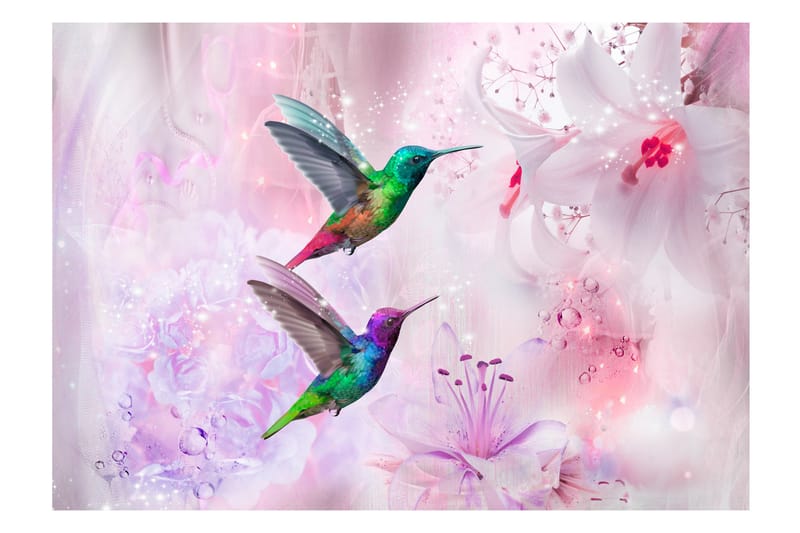 FOTOTAPET Colorful Hummingbirds 250x175 - Artgeist sp. z o. o. - Tapet stue - Fototapeter - Kjøkkentapeter - Tapet soverom