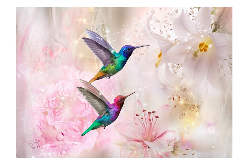 Fototapet Colourful Hummingbirds Pink 100x70 - Finnes i flere størrelser - Tapet stue - Fototapeter - Kjøkkentapeter - Tapet soverom