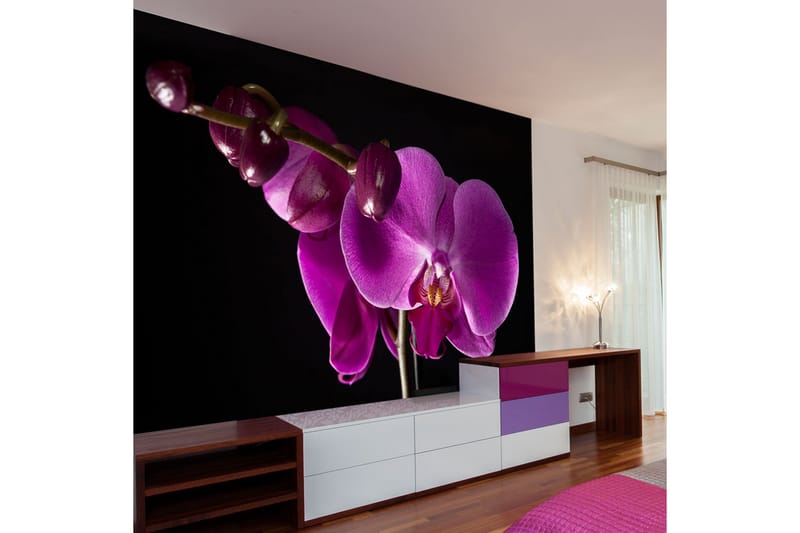 Fototapet Elegant Orchids 300x231 - Artgeist sp. z o. o. - Tapet stue - Fototapeter - Kjøkkentapeter - Tapet soverom