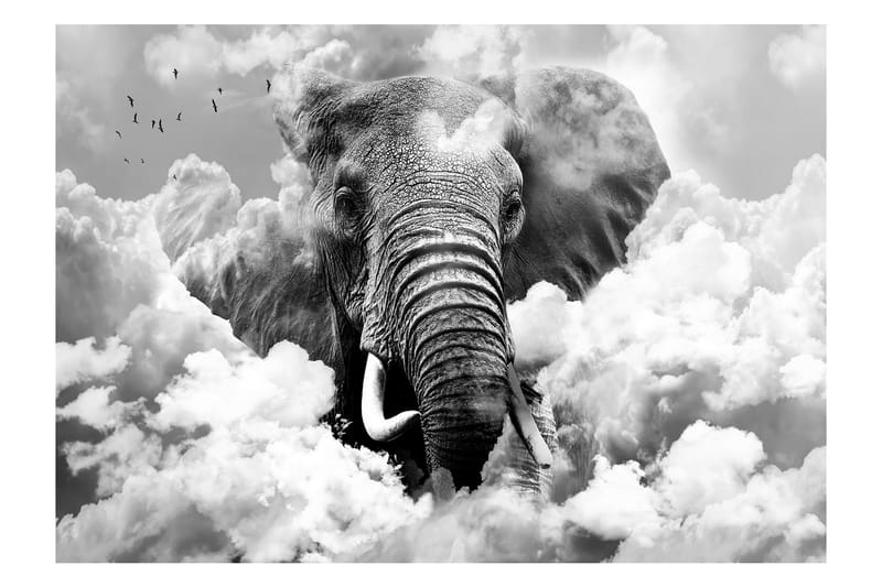 Fototapet Elephant In The Clouds Black And White 200x140 - Artgeist sp. z o. o. - Tapet stue - Fototapeter - Kjøkkentapeter - Tapet soverom