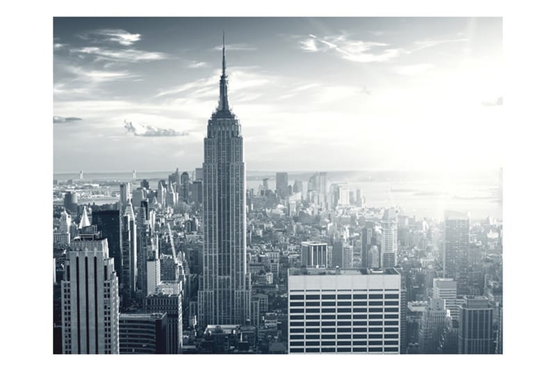 Fototapet Fantastisk Utsikt Til New York Manhattan 350x270 - Artgeist sp. z o. o. - Tapet stue - Fototapeter - Kjøkkentapeter - Tapet soverom