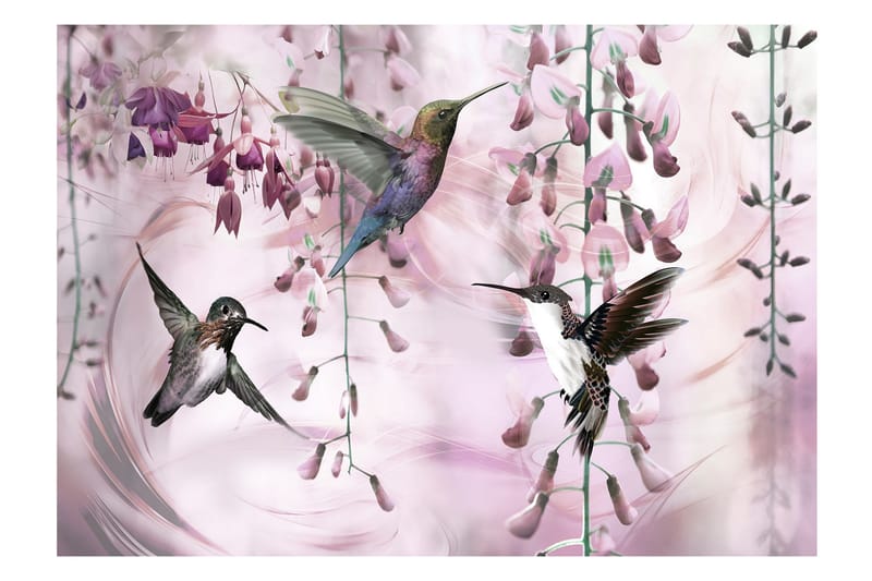 Fototapet Flying Hummingbirds Pink 350x245 - Finnes i flere størrelser - Tapet stue - Fototapeter - Kjøkkentapeter - Tapet soverom
