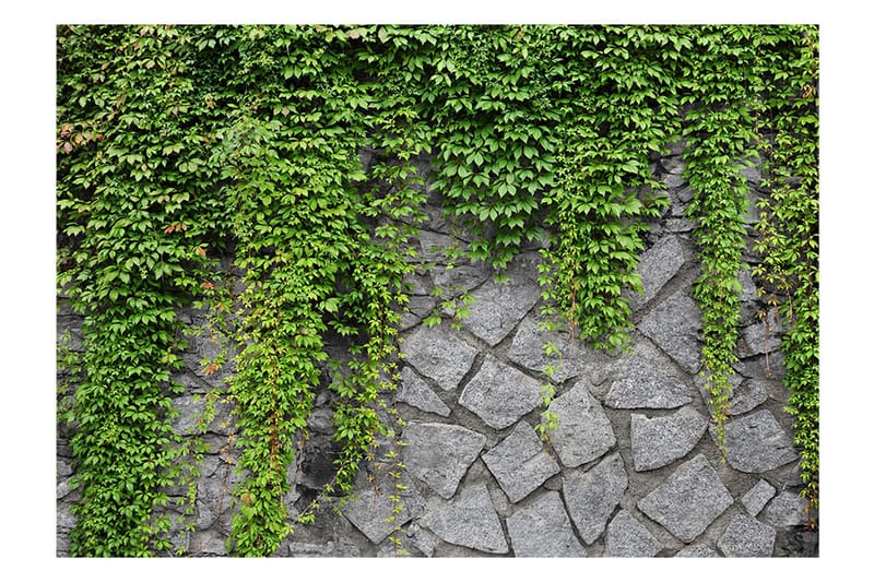 Fototapet Green Wall 250x175 - Artgeist sp. z o. o. - Tapet stue - Fototapeter - Kjøkkentapeter - Tapet soverom