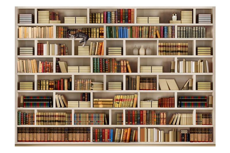 Fototapet Home Library 300x210 - Artgeist sp. z o. o. - Tapet stue - Tapet soverom - Kjøkkentapeter - Fototapeter Fototapet Home Library 300x210 - Artgeist sp. z o. o. - Tapet stue - Tapet soverom - Kjøkkentapeter - Fototapeter