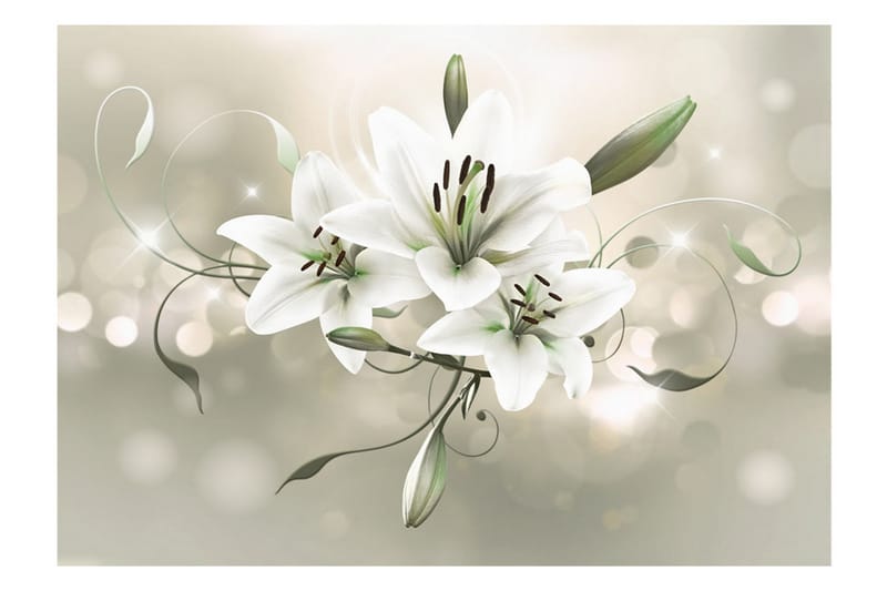 Fototapet Lily Flower Of Masters 150x105 - Artgeist sp. z o. o. - Tapet stue - Fototapeter - Kjøkkentapeter - Tapet soverom