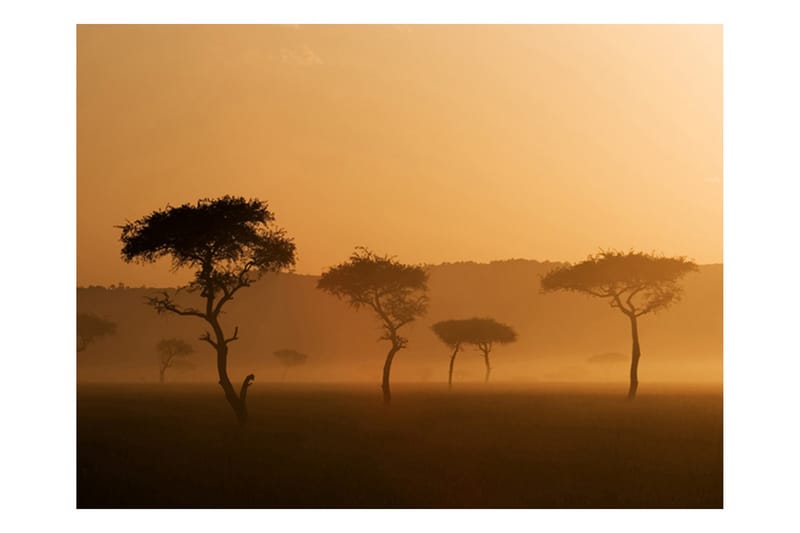 Fototapet Massai Mara 300x231 - Artgeist sp. z o. o. - Tapet stue - Fototapeter - Kjøkkentapeter - Tapet soverom
