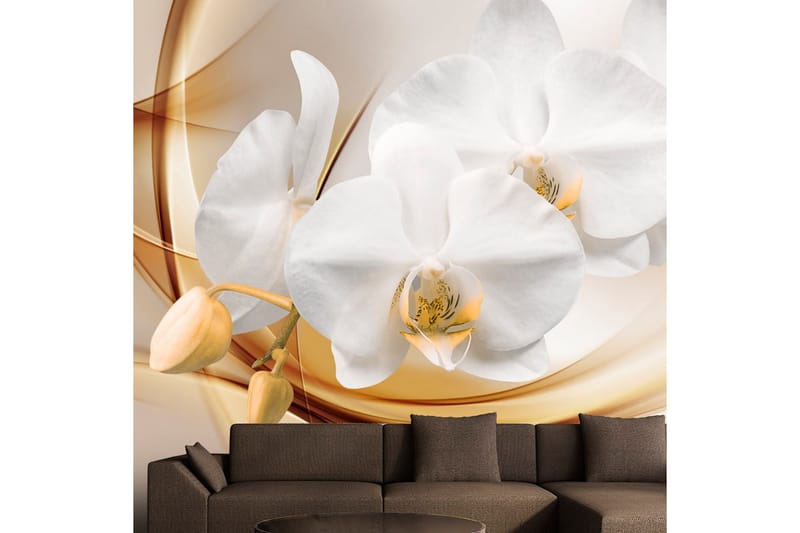 Fototapet Orchid Blossom 250x175 - Artgeist sp. z o. o. - Tapet stue - Fototapeter - Kjøkkentapeter - Tapet soverom