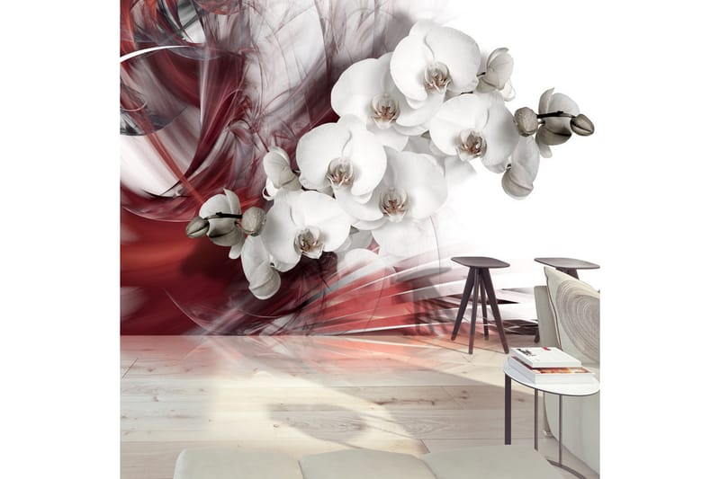 Fototapet Orchid In Red 200x140 - Artgeist sp. z o. o. - Tapet stue - Fototapeter - Kjøkkentapeter - Tapet soverom