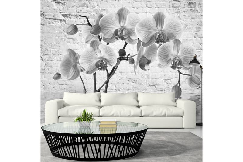 Fototapet Orchid In Shades Of Grey 100x70 - Artgeist sp. z o. o. - Tapet stue - Fototapeter - Kjøkkentapeter - Tapet soverom
