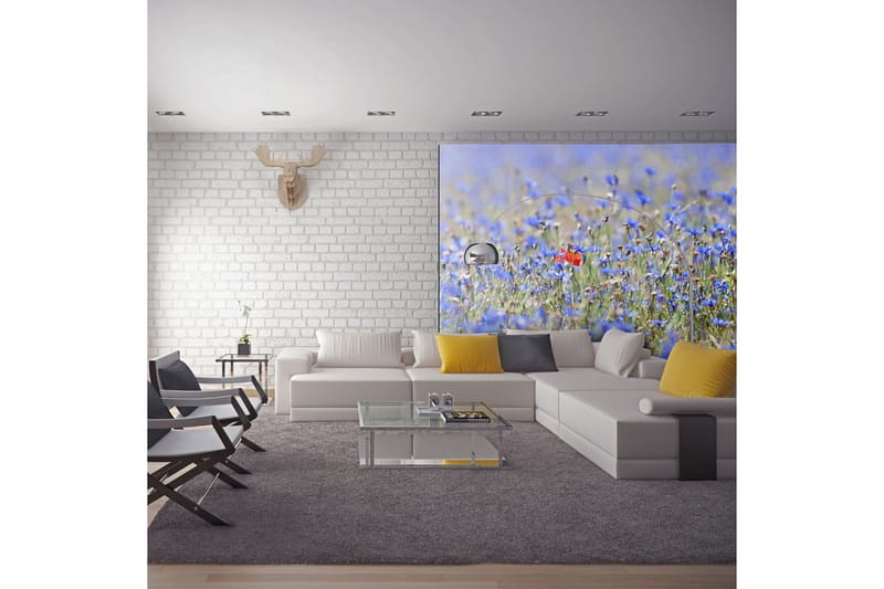 Fototapet Sky-Colored Meadow Cornflowers 250x193 - Artgeist sp. z o. o. - Tapet stue - Fototapeter - Kjøkkentapeter - Tapet soverom