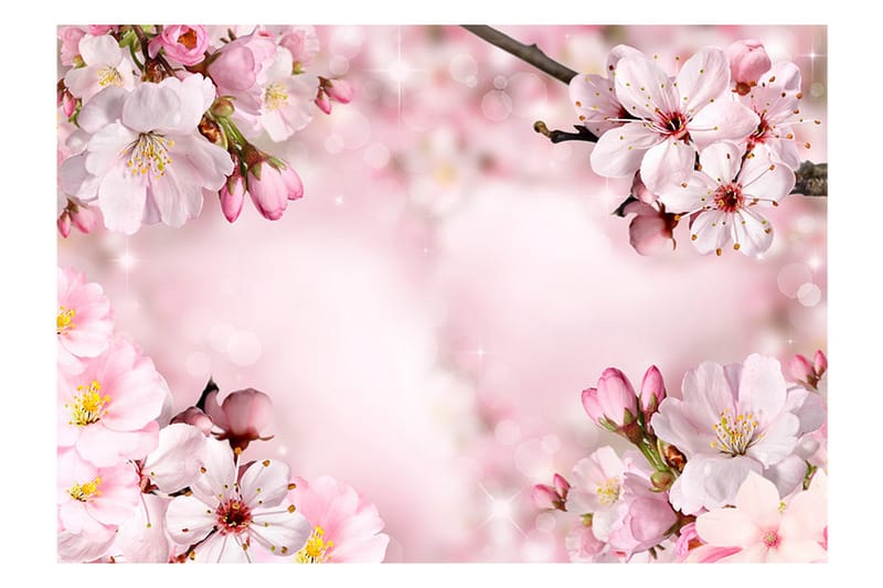 Fototapet Spring Cherry Blossom 100x70 - Artgeist sp. z o. o. - Tapet stue - Fototapeter - Kjøkkentapeter - Tapet soverom