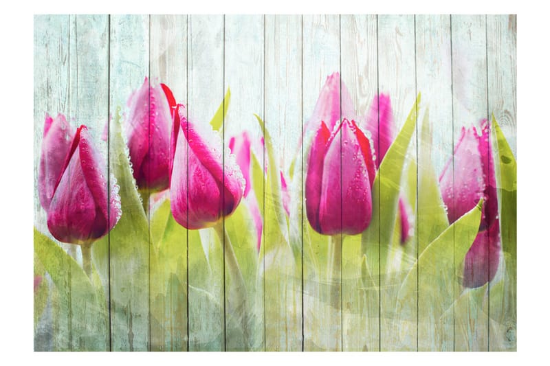 Fototapet Tulips On White Wood 300x210 - Artgeist sp. z o. o. - Tapet stue - Tapet soverom - Kjøkkentapeter - Fototapeter