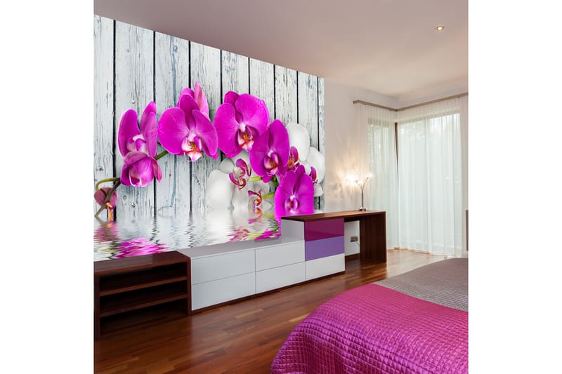 Fototapet Violet Orchids With Water Reflection 200x154 - Artgeist sp. z o. o. - Tapet stue - Fototapeter - Kjøkkentapeter - Tapet soverom
