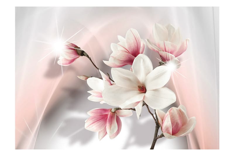 Fototapet White Magnolias 200x140 - Artgeist sp. z o. o. - Tapet stue - Fototapeter - Kjøkkentapeter - Tapet soverom