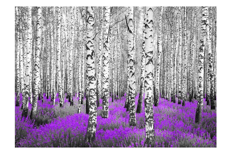 Fototapet Purple Asylum 300x210 - Artgeist sp. z o. o. - Tapet stue - Fototapeter - Kjøkkentapeter - Tapet soverom