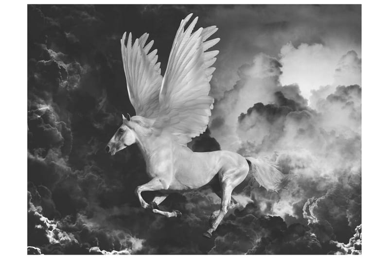 Fototapet Pegasus På Vei Til Mount Olympus 300x231 - Artgeist sp. z o. o. - Tapet stue - Fototapeter - Kjøkkentapeter - Tapet soverom