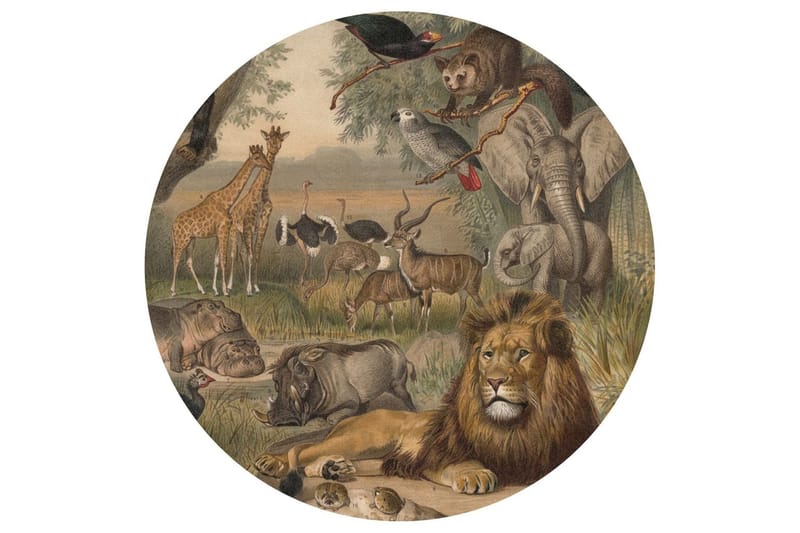 WallArt Tapetsirkel Animals of Africa 142,5 cm - Flerfarget - Tapet stue - Fototapeter - Kjøkkentapeter - Tapet soverom