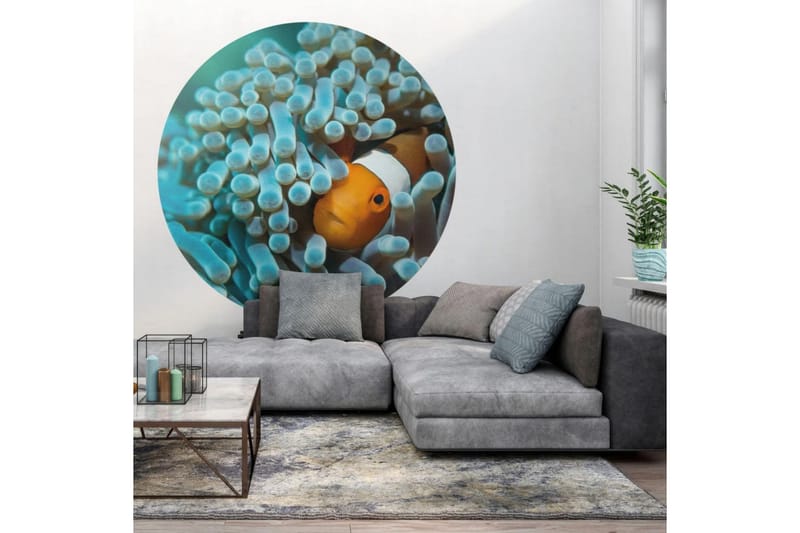 WallArt Tapetsirkel Nemo the Anemonefish 142,5 cm - Flerfarget - Tapet stue - Fototapeter - Kjøkkentapeter - Tapet soverom