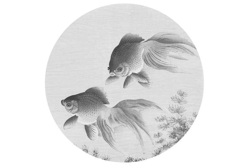 WallArt Tapetsirkel Two Goldfish 142,5 cm - Grå - Tapet stue - Fototapeter - Kjøkkentapeter - Tapet soverom